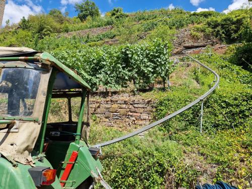 Weingut Haxel - image 2