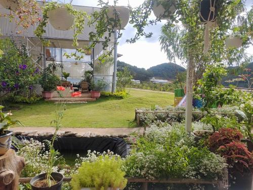 Amikaje Farm - 주변 환경