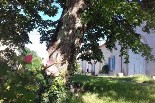 La Part des Anges, un grand gîte de caractère - Location saisonnière - Saint-Laurent-du-Plan