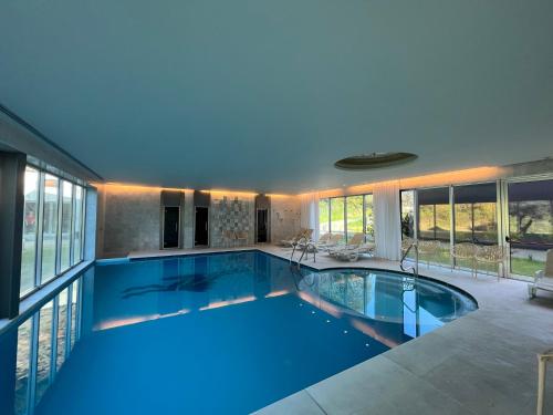 Swimming pool, HD | Duecitania Design Hotel in Penela