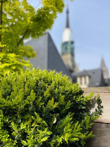Hôtel De La Cathédrale – Rouen, TX