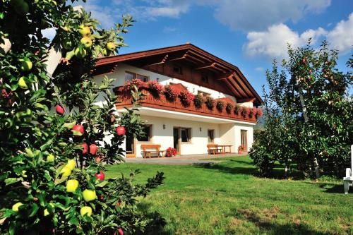  Stoanpeppelehof in Fiumes