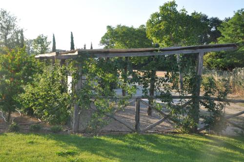 Ca' Matra - image 3