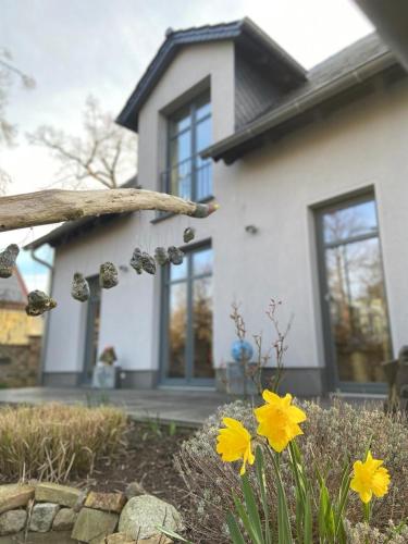 Ferienhaus Ferienwohnung Potsdam DieGaLerie am Schlosspark Marquardt