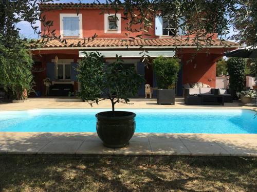 Villa cosy 5km Cannes - Location, gîte - Pégomas