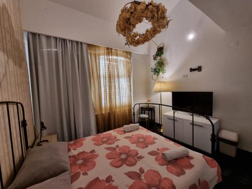 Hostel Pipištrelo (Hostel Pipistrelo) in พูลา