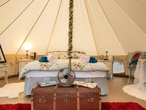 Kerikeri Glamping photo