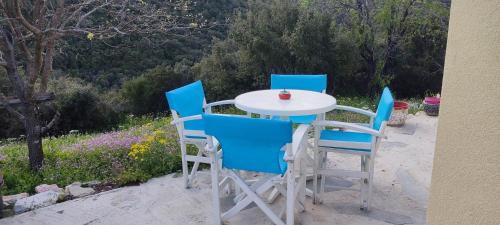Surrounding environment, Charlami's Mansion -Παραδοσιακο Πετρινο Σπιτι με Τζακι και Πανοραμικη Θεα in Paramythia