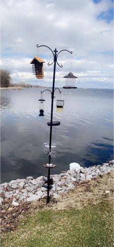 Sun Chaser Bay - Apartment - Carrying Place