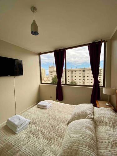 Two-Bedroom Apartment image 8