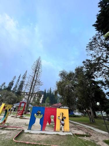 Lily King (modern and comfy) Lily King (modern and comfy)