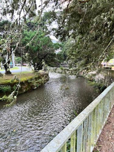 Lily King (modern and comfy) Lily King (modern and comfy)