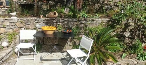 maison MON REVE in Bez-et-Esparon