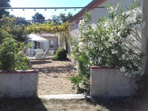 Charme de l’ancien à 6km de Bretignolles sur mer gîte à louer Landevieille