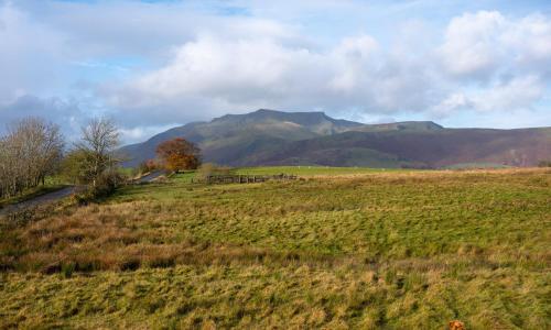 Sherriff, Penrith (foto 6)