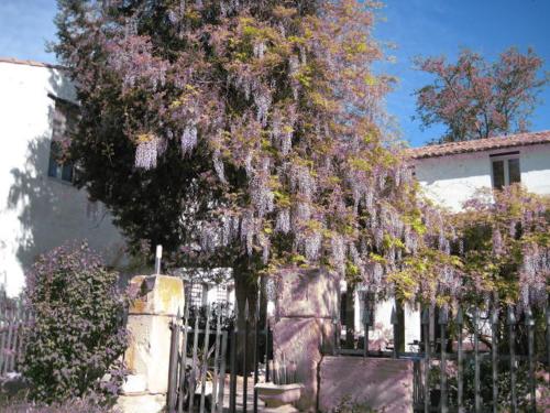 Grand Argence Grand Argence