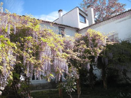 Grand Argence Grand Argence