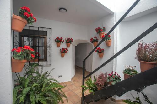 Vitium Córdoba, Córdoba (fotografie 11)