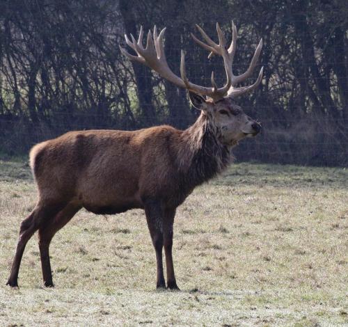 The Stables - Deer Park Farm - image 11