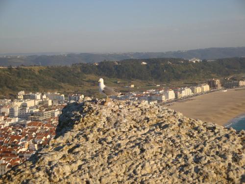 Hotel Ancora Mar - image 9