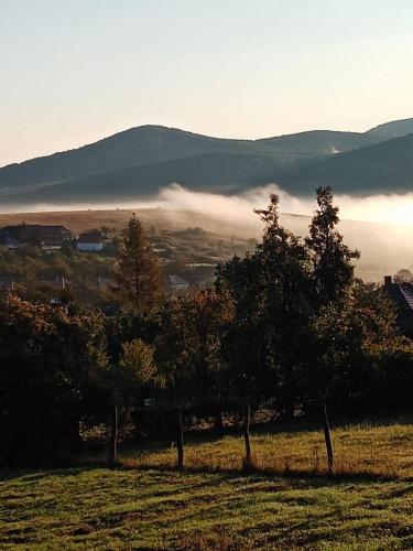 Skats, Kalaris Vendeghaz in Holloko