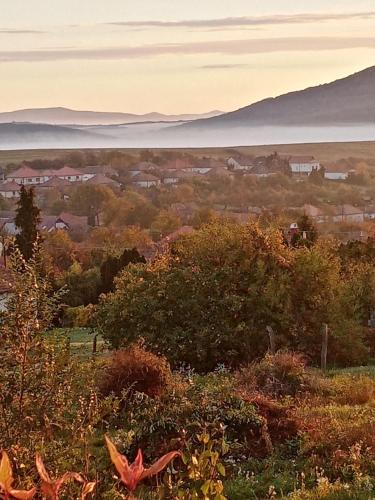 Skats, Kalaris Vendeghaz in Holloko