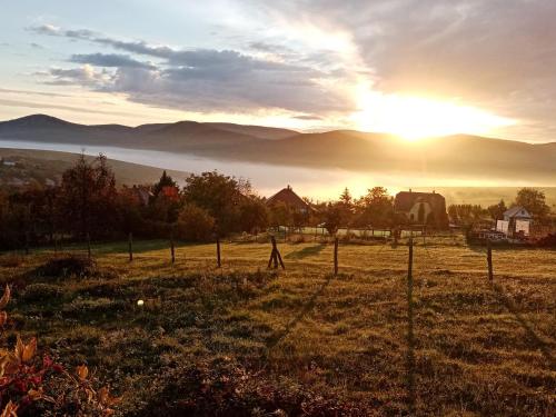 Skats, Kalaris Vendeghaz in Holloko