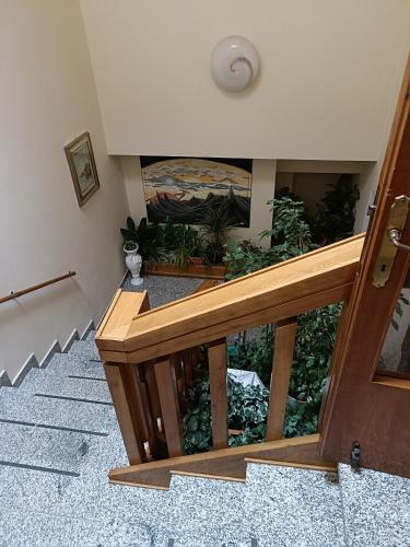 景觀, Hotel Alba Serravalle in 塞拉維爾皮斯托伊斯