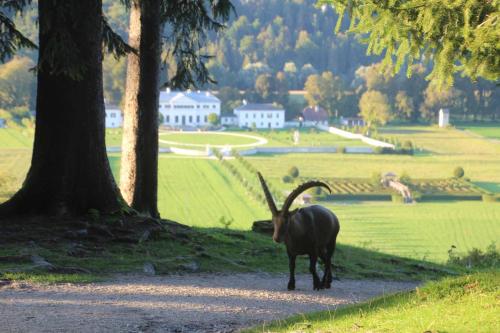 Hotel Fuchs & Hase SELF CHECK IN