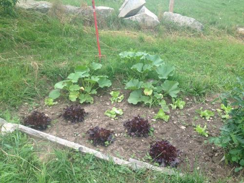 Sérénité et nature dans une ferme équestre