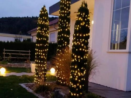 外部景觀, Tauberperle - Exklusives Ferienapartment in 勞達-科尼雪芬