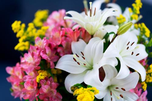 Casa de la Catedral - image 29