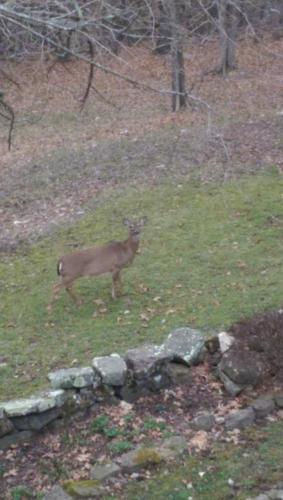 5 Ojo Inn Bed and Breakfast 5 Ojo Inn Bed and Breakfast