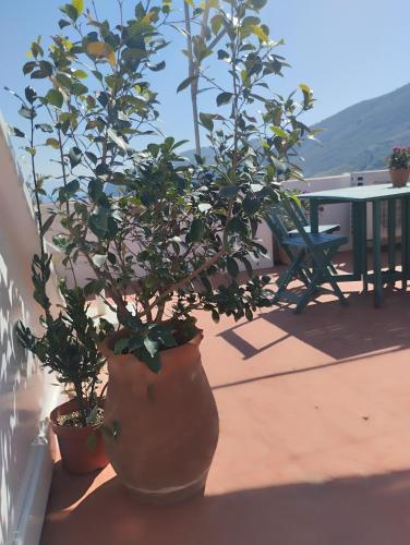  Sokratis Apartments in Symi