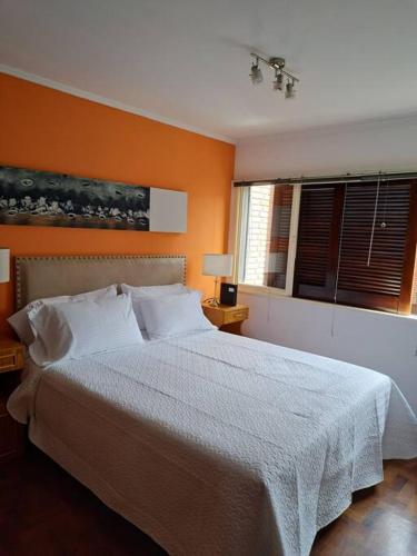 One-Bedroom Apartment image 4