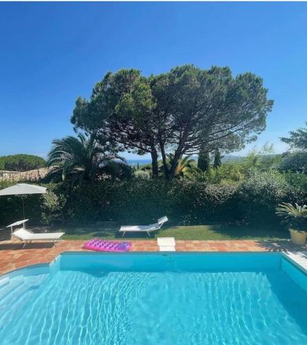 Charming Provencal Mas with amazing sea view and pool - Location saisonnière - Saint-Tropez