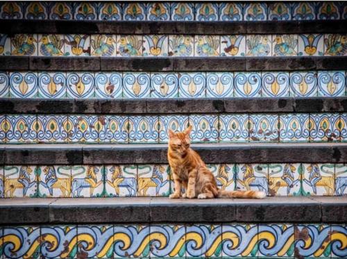 Basilicò, Caltagirone (photo 10)