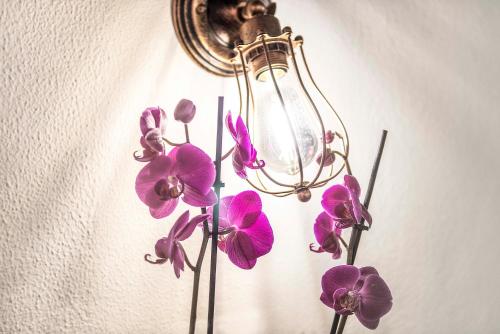 Stranamore Apartments Trastevere, Рим (фото 6)