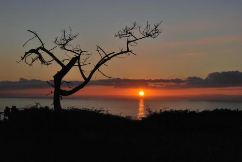 Apartamentos Rurales "La Torre" y "El Pielago"