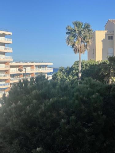 Joli studio les pieds dans l'eau - Location saisonnière - Fréjus