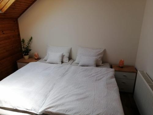 Rigó Vendégház Rigó Vendégház