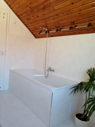 Rigó Vendégház Rigó Vendégház