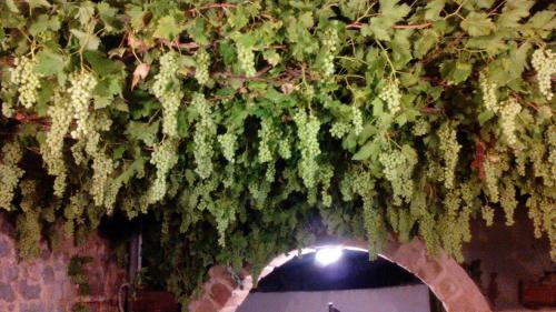 FILEMA HOME (stone house)