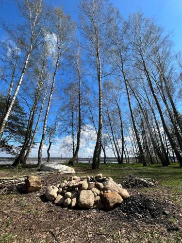 Grzyby, ryby, ferie, Własny pomost, kajak, kominek, grill, ognisko raj nad wodą, BRZÓZKI 1 (Linia brzegowa prywatny pomost wlasny kajak hamaki grill ognisko kominek w domu taras Domek dla 6 os) in Sulejow