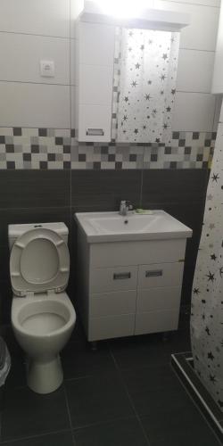 Sokobanja apartman Aviva