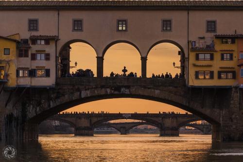 Ponte Vecchio Suites & Spa - image 8