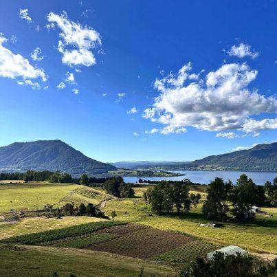 Lomas de Riñihue para 4 p