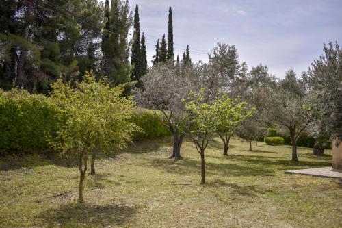 Green House - Εξοχική κατοικία με μεγάλο κήπο