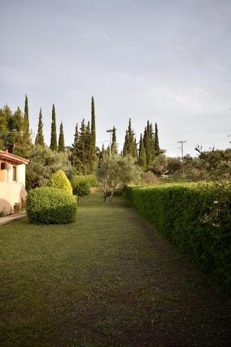 Green House - Εξοχική κατοικία με μεγάλο κήπο