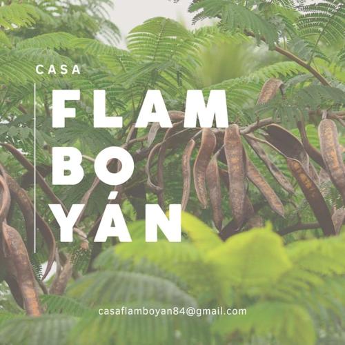 Casa Flamboyán